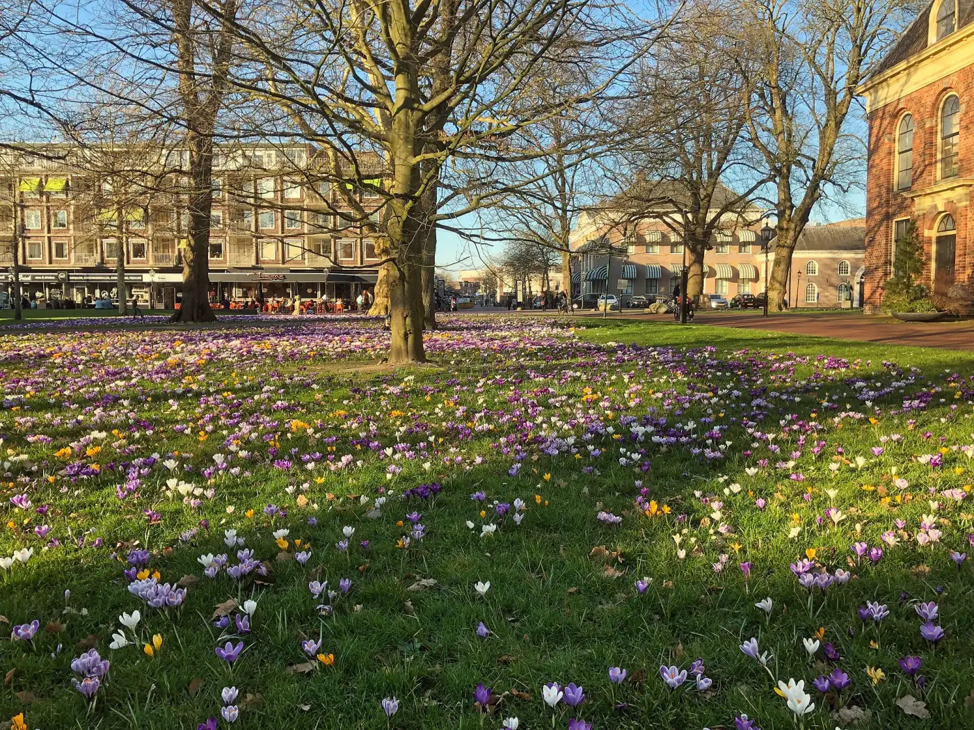 De Brink in Assen