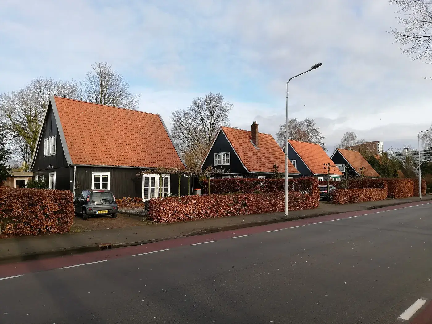 Woningen met pannendaken aan de Gauke Boelensstraat in Drachten